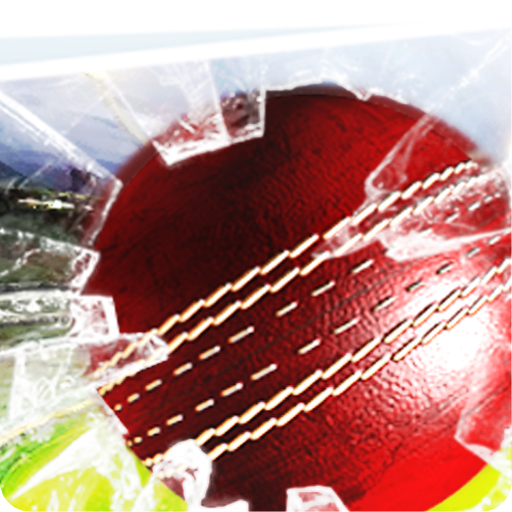 Cricket T20 Super Sixers icon